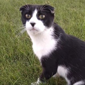 Meet your Posher, Matt